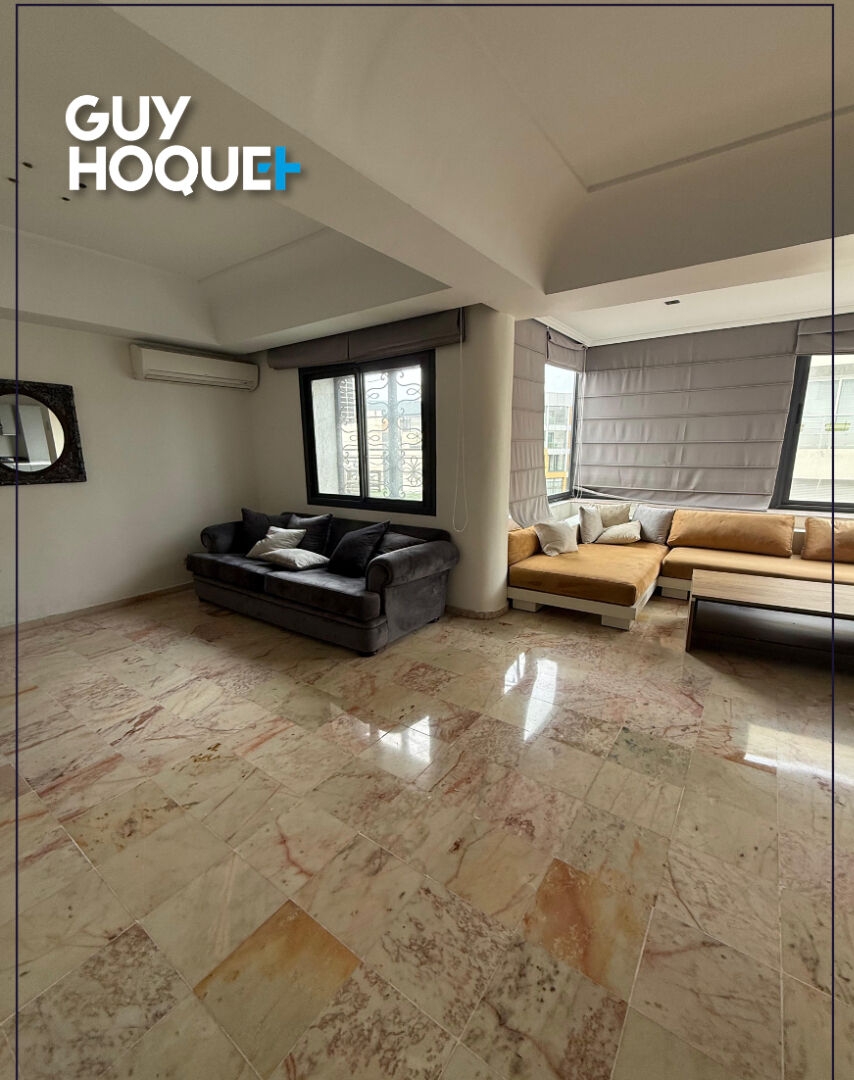 Appartement 189 m² divisé en deux lofts indépendants pour Investissement locatif