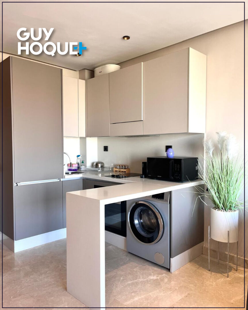 Studio meublé Ferme bretonne terrasse