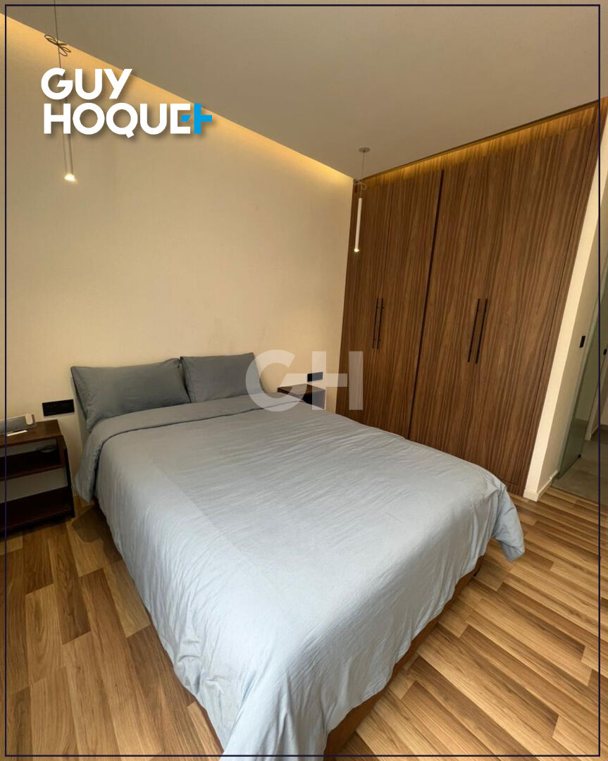 Appartement  2CAC meublé avec terrasse Quartier Princesse