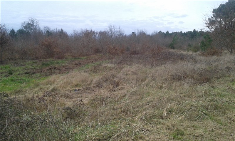 TERRAIN A BATIR SALLES - 1556 m2