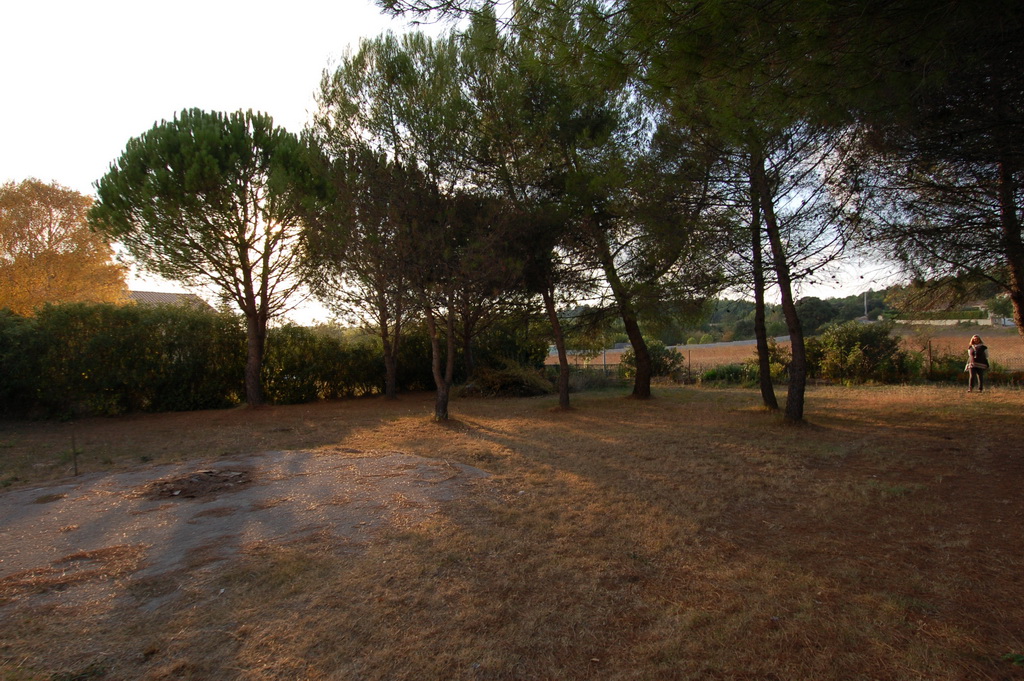 Terrain/Teyran