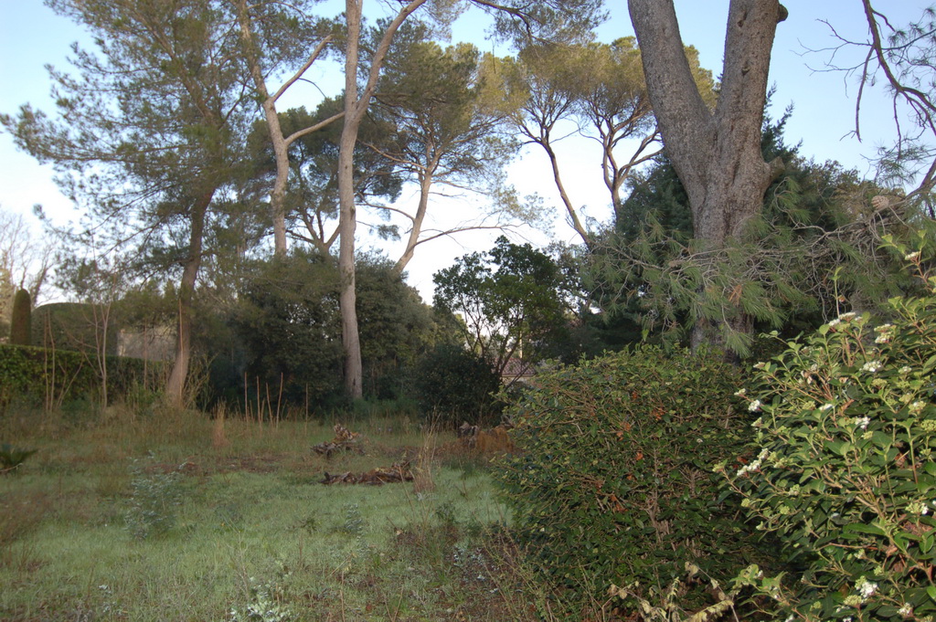 CASTELNAU LE LEZ