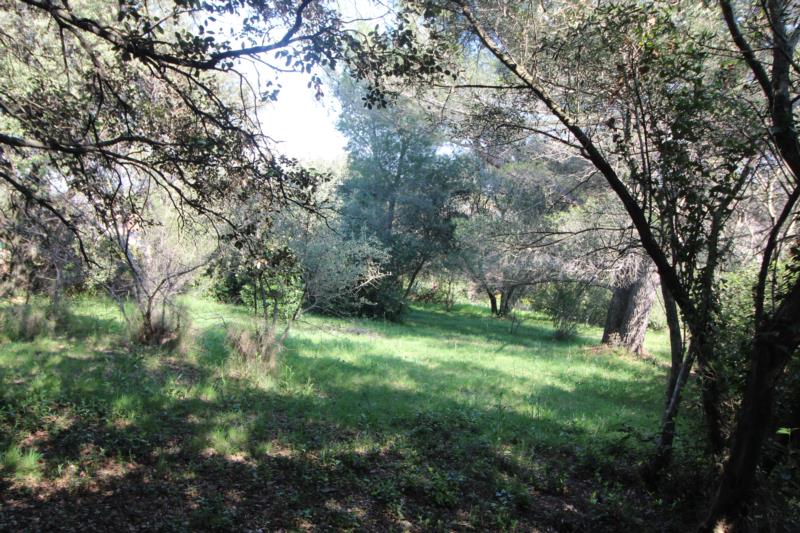 Maison de 80 m² sur grande parcelle de terrain