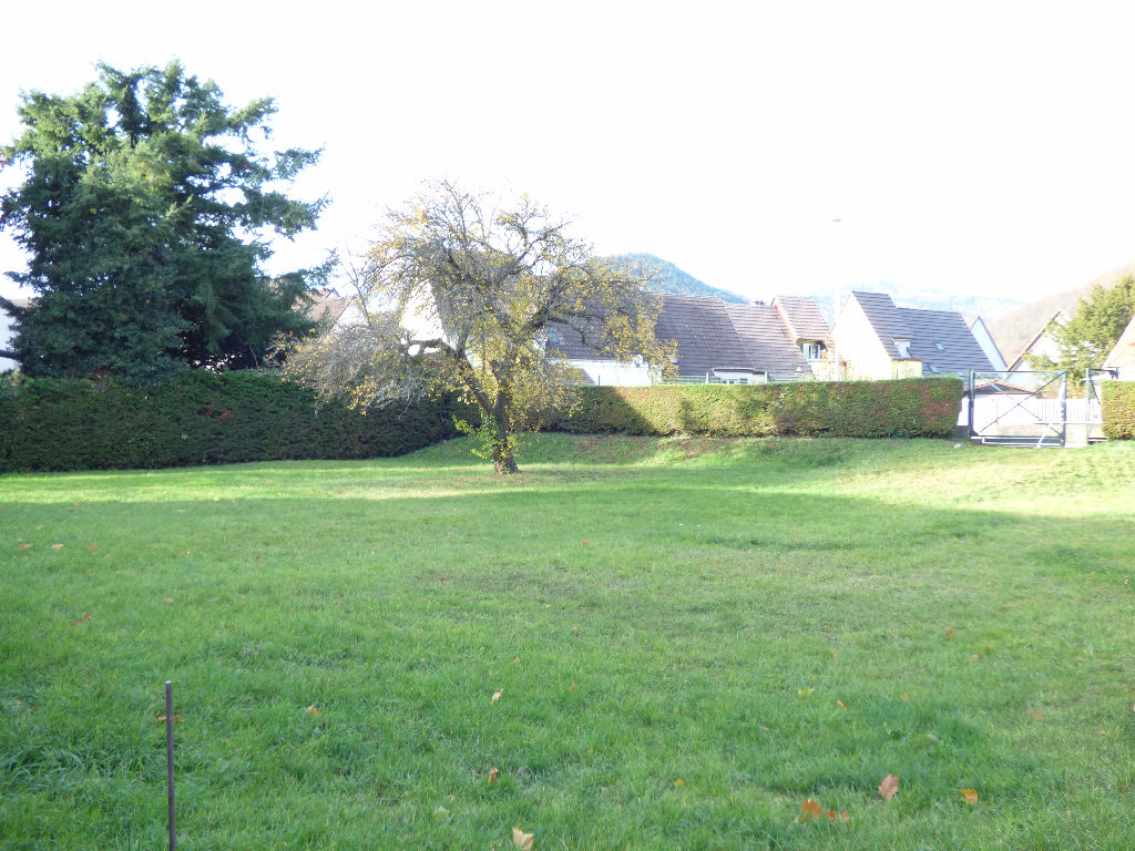 Terrain de 11.91 m² sur Thann