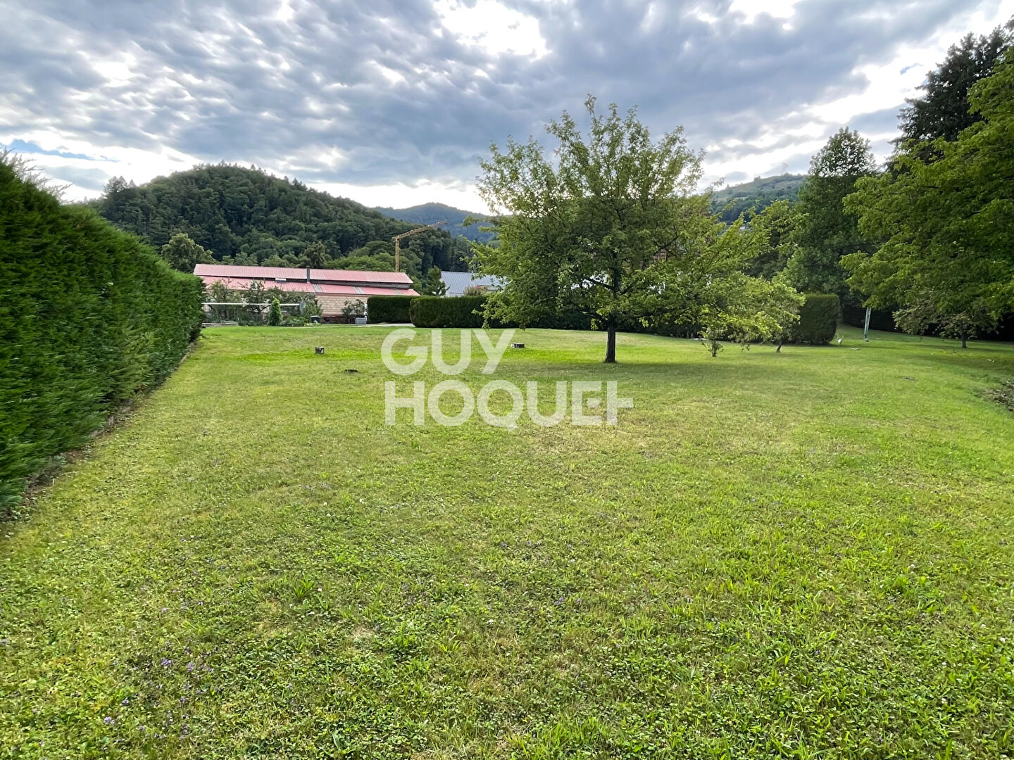 Maison à vendre à Fellering - 6 pièces, 4 chambres, étang 23 ares