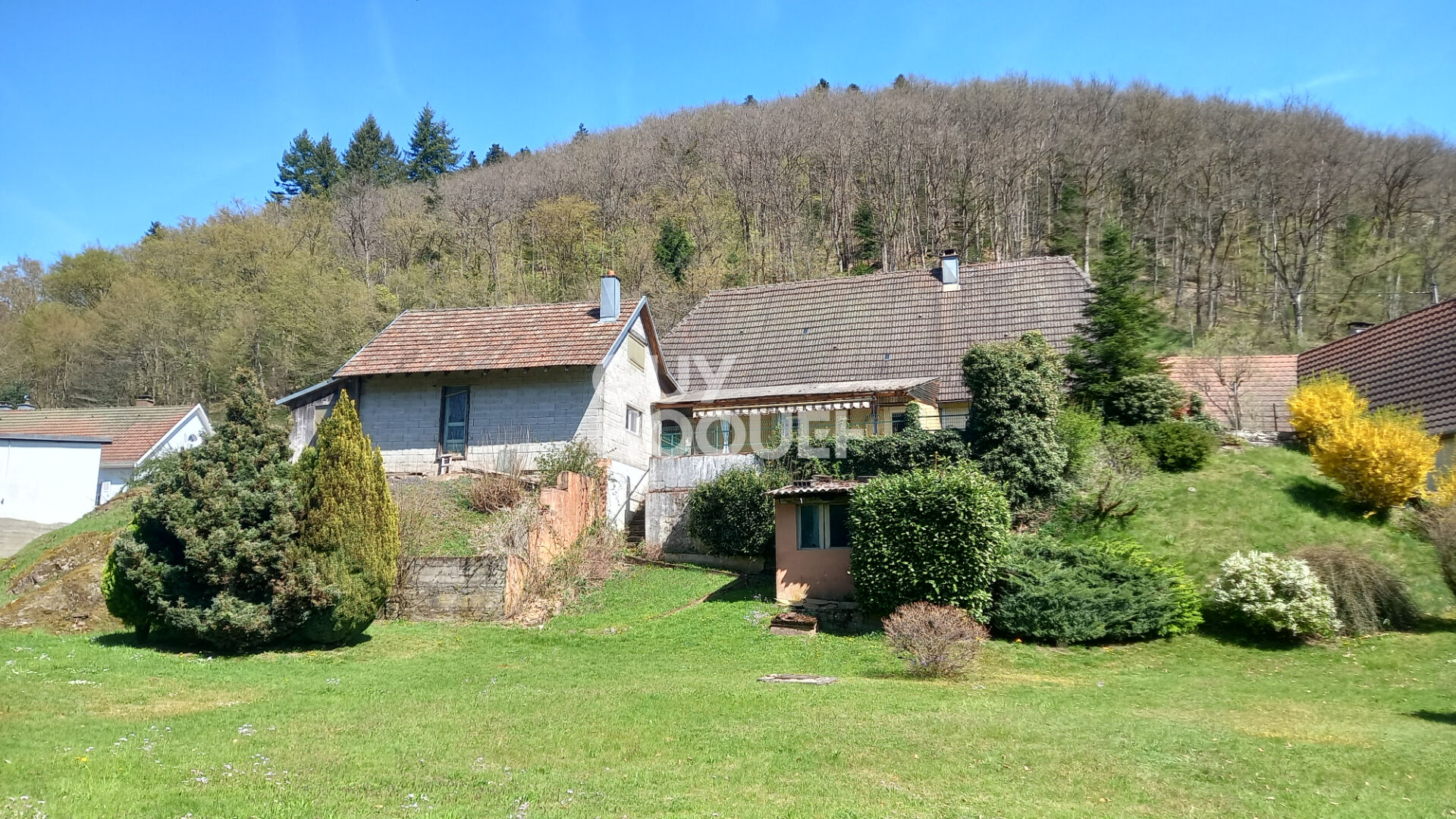 Maison 4 pièces à vendre à Wegscheid - Grand terrain au calme