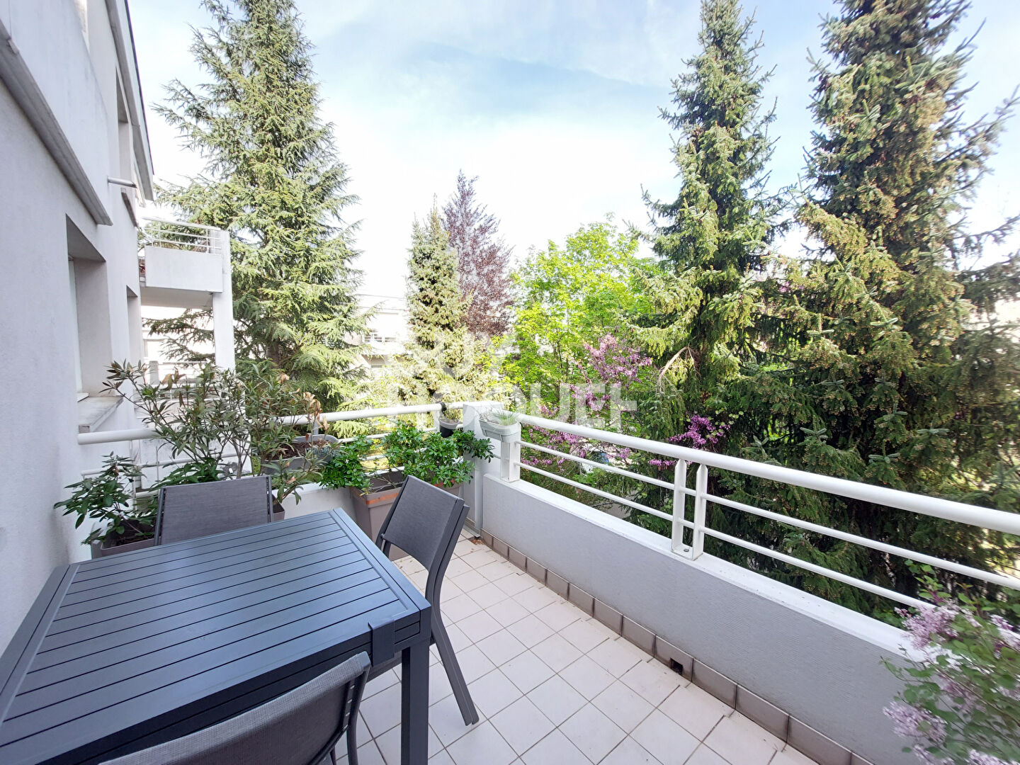 Charmant appartement 2 pièces à louer à Riedisheim