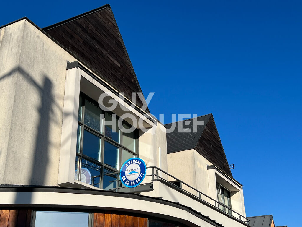 Appartement Chalette Sur Loing 3 pièce(s) 64 m2