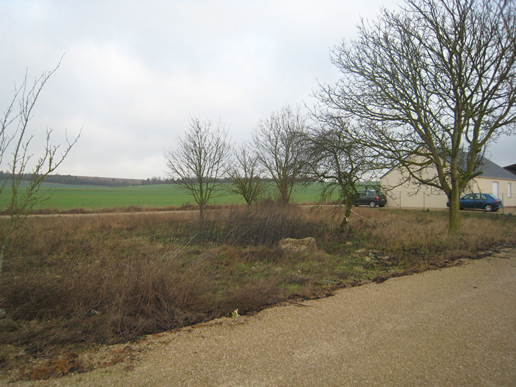 Terrain/Terre