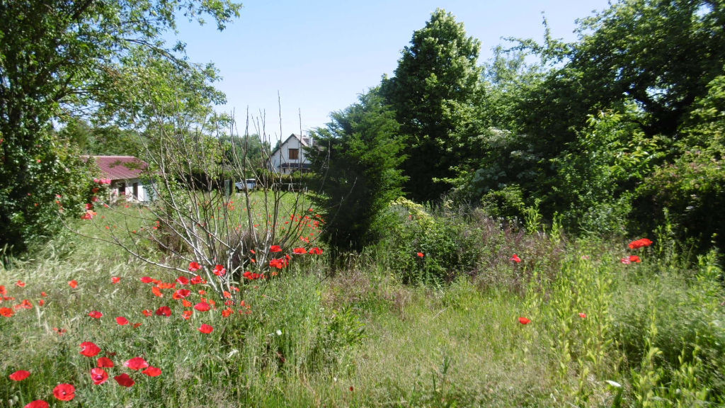 PLAIN PIED de 102 m² sur 1849 m², possibilité de diviser, VOIR TEXTE.