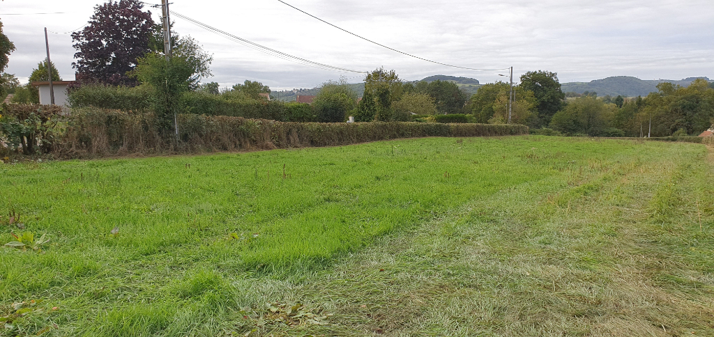 Terrain Saint Firmin 4610 m2