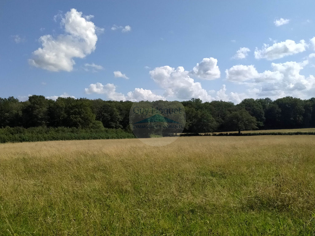Terrain Pouilloux 1576 m2