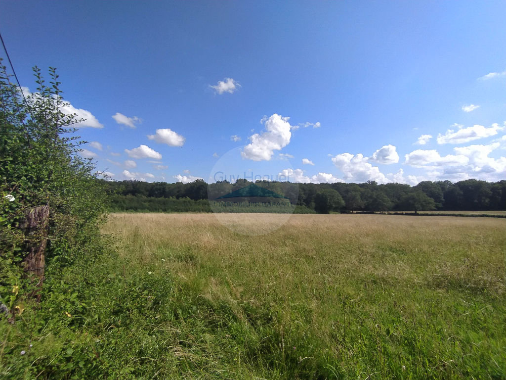 Terrain Pouilloux 1000 m2