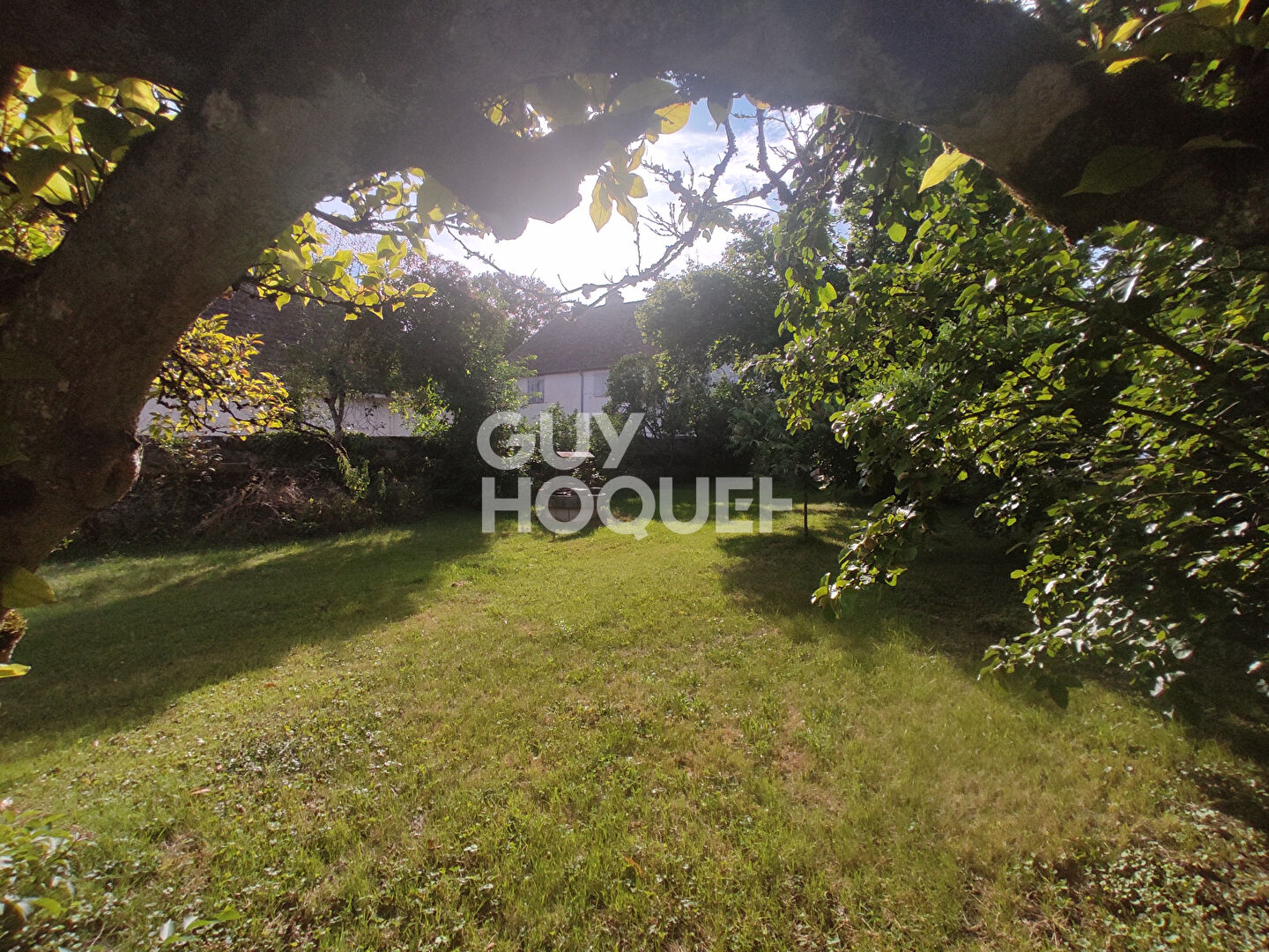 DAMEREY Beau potentiel