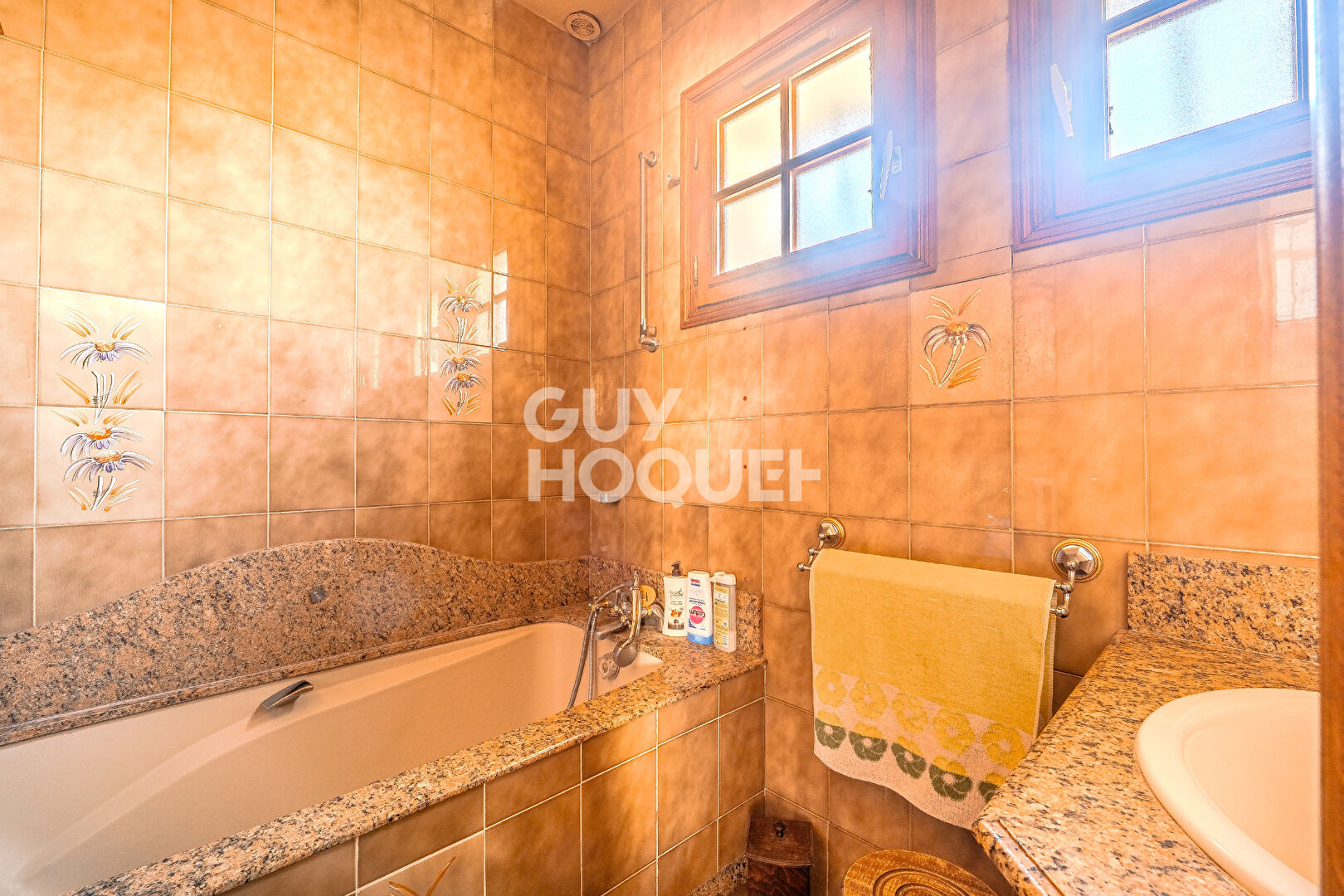 Maison en pierre avec jardin à Saint-Maximin