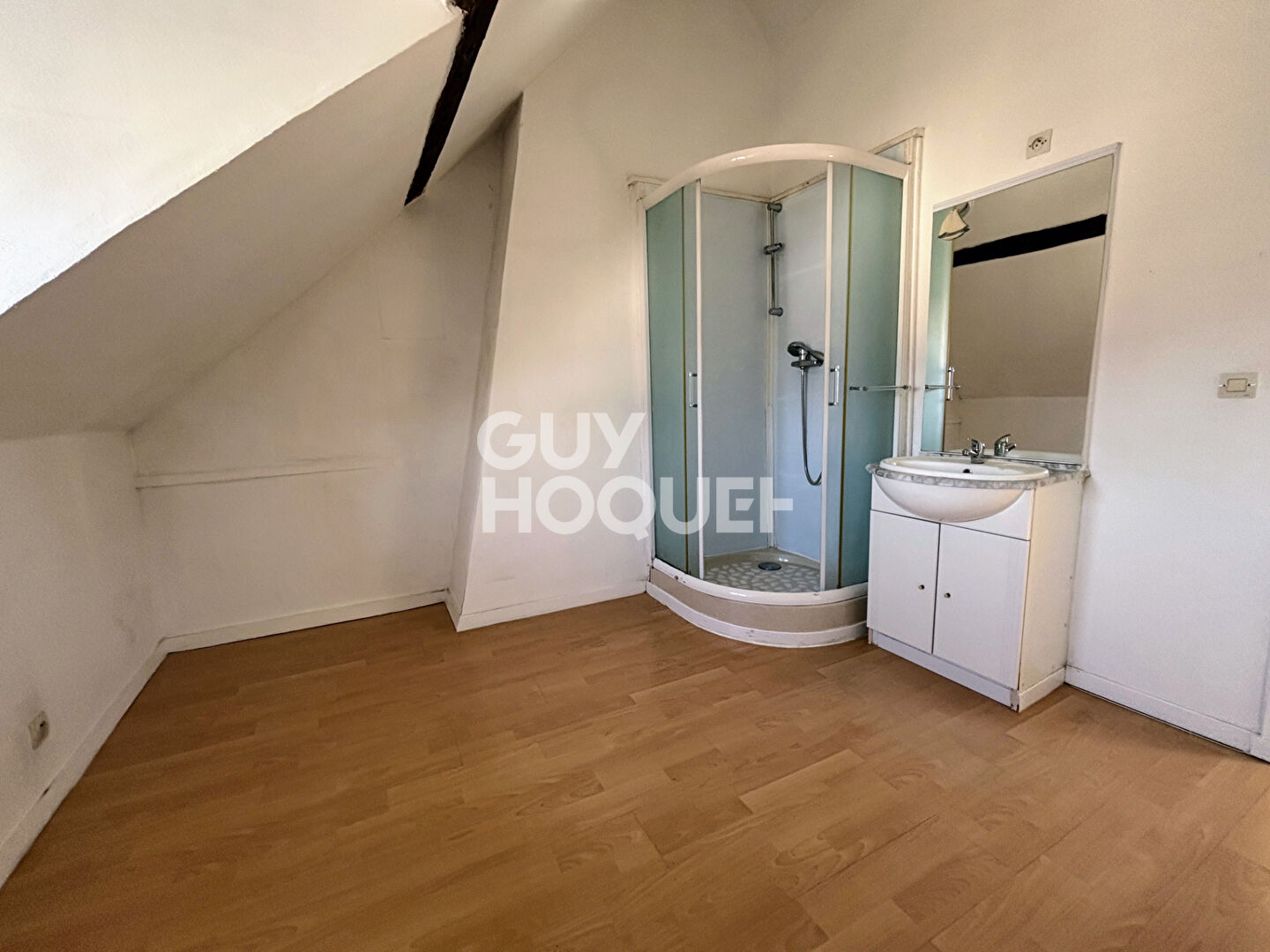 Nogent-sur-Oise, le charme des volumes sous les toits