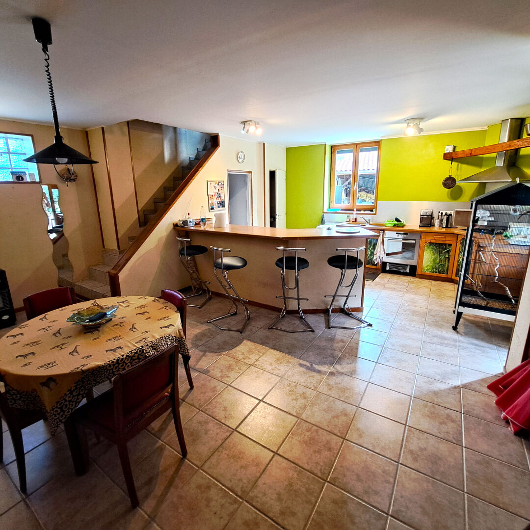 Maison Orliénas 7 pièces 245 m2