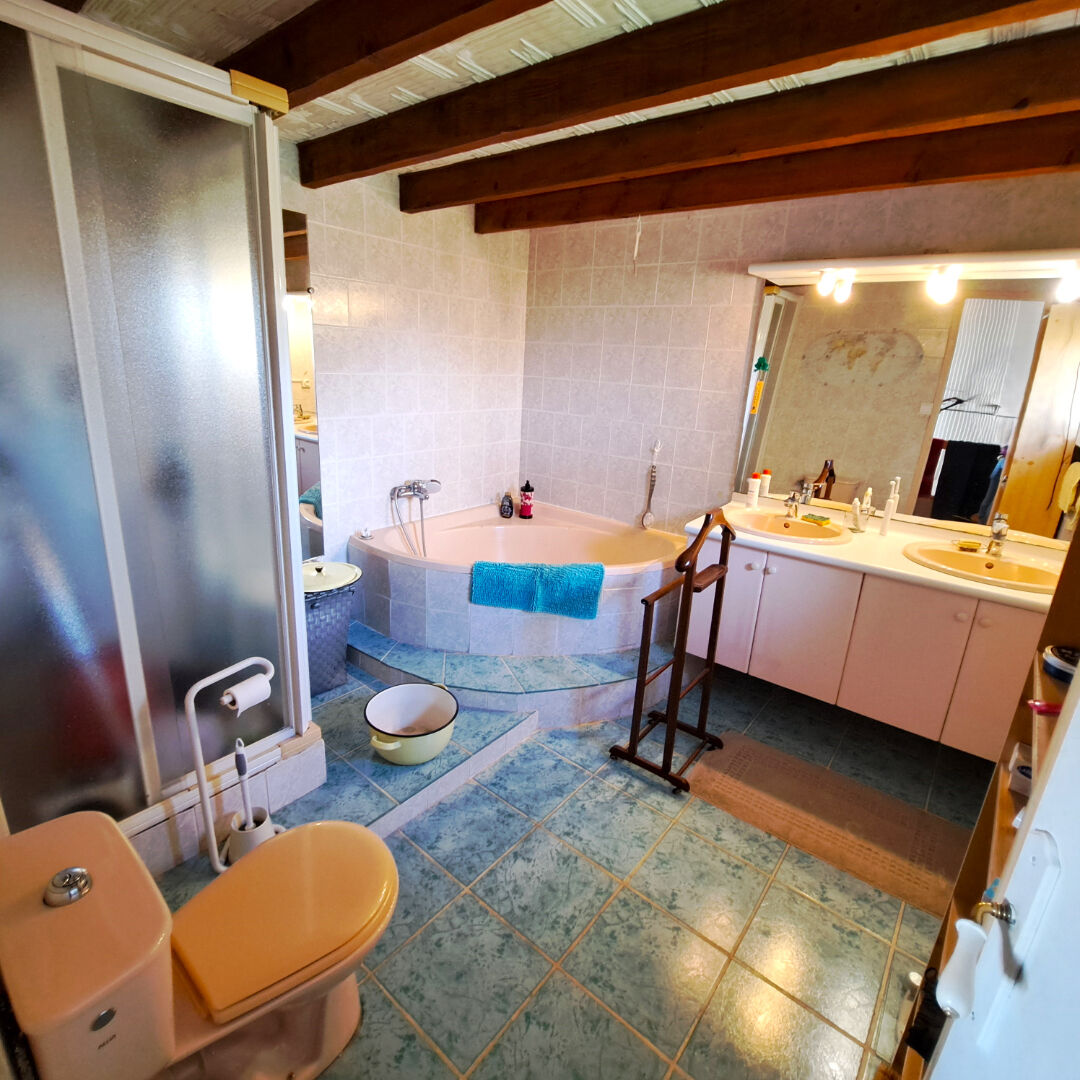 Maison Orliénas 7 pièces 245 m2