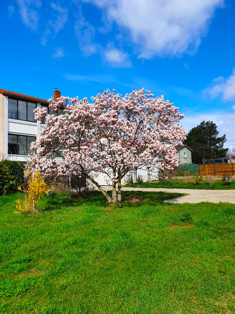 Maison Chaponost 6 pièces 160 m2