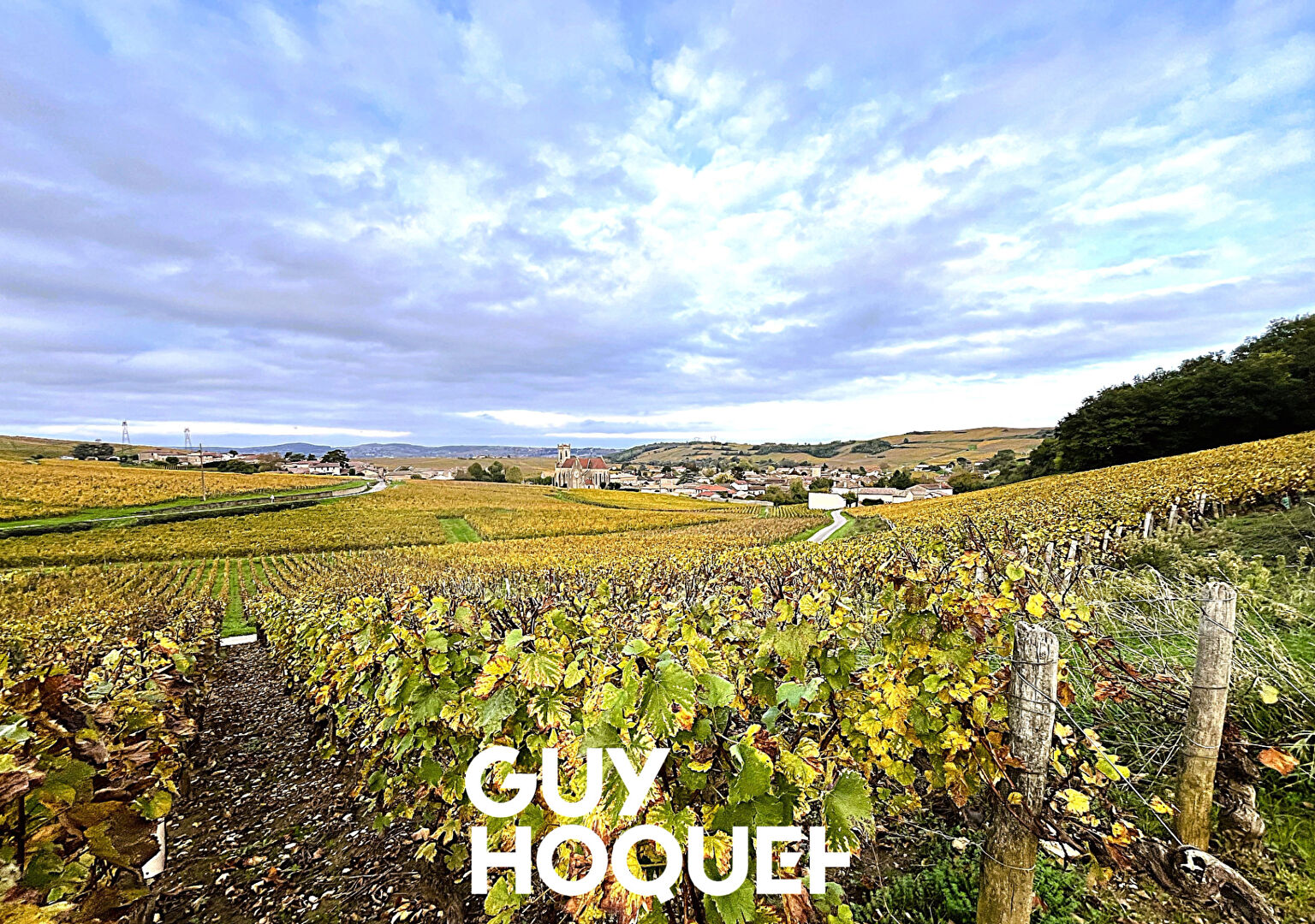 Propriété Viticole en Pierre - Deux Maisons + Dépendances et Terrain - 71960 FUISSE