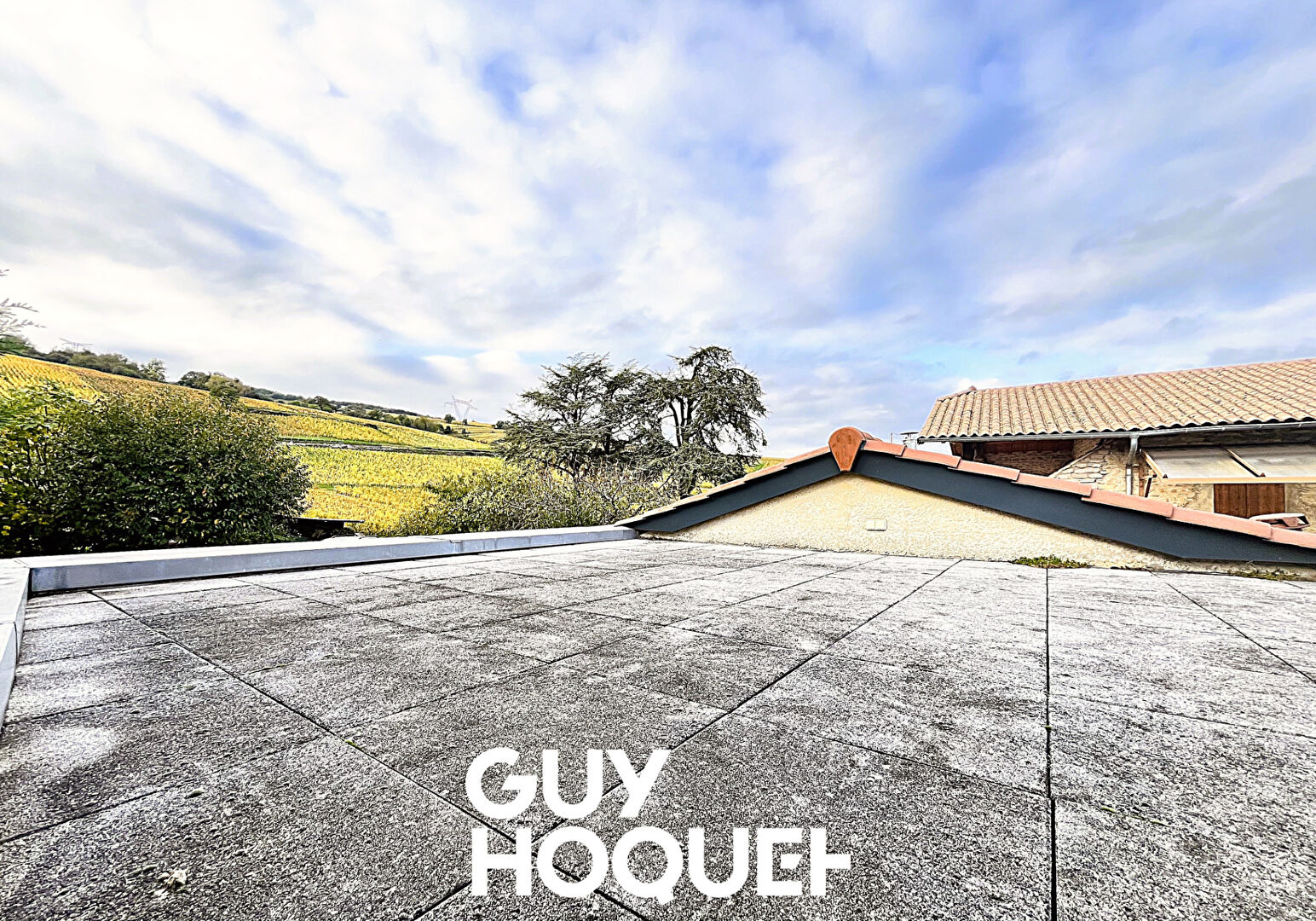 Propriété Viticole en Pierre - Deux Maisons + Dépendances et Terrain - 71960 FUISSE