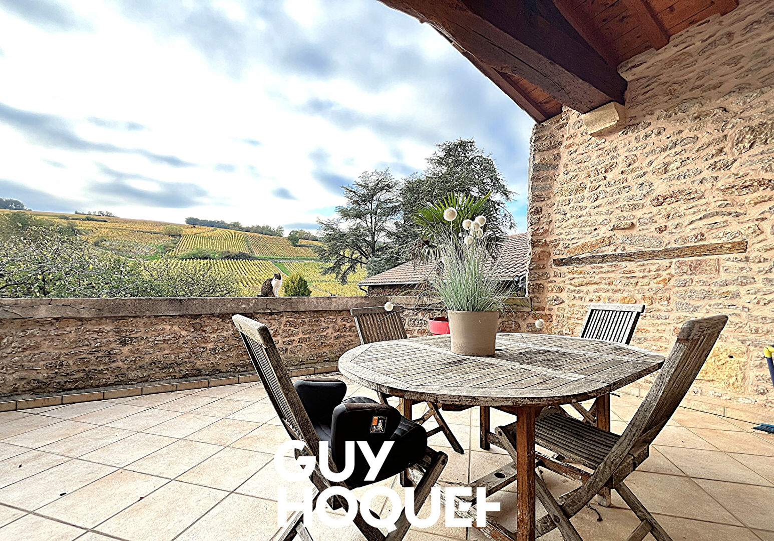 Propriété Viticole en Pierre - Deux Maisons + Dépendances et Terrain - 71960 FUISSE