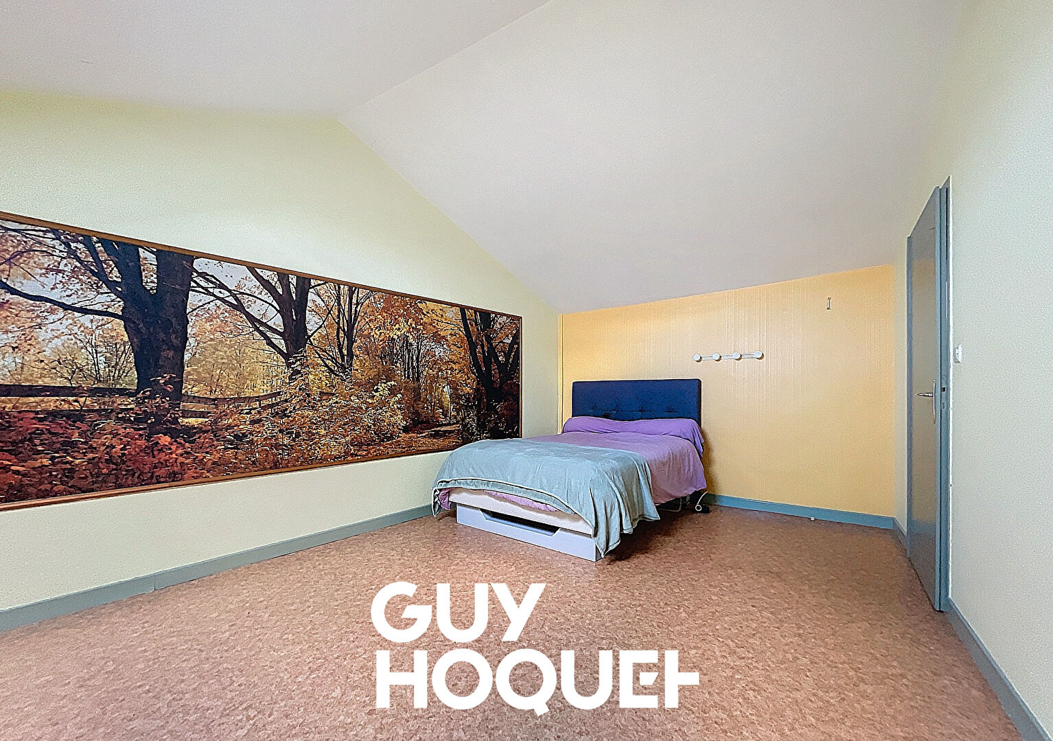 Maison Ancienne Rénovée 3 Chs + Bureau - 69840 CHENAS