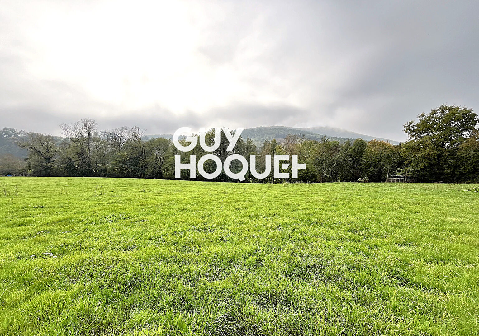 Terrain de 3790 m² environ dont 3625 m² constructible - 69840 JULIENAS