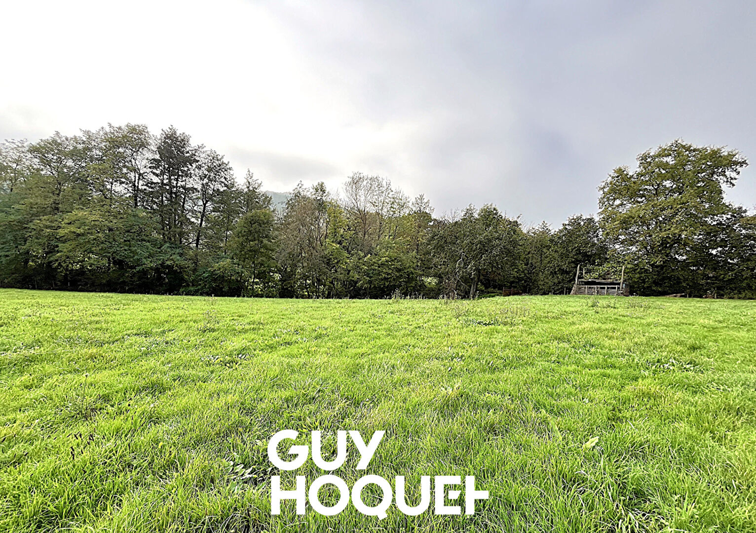 Terrain de 3790 m² environ dont 2099 m² constructible - 69840 JULIENAS