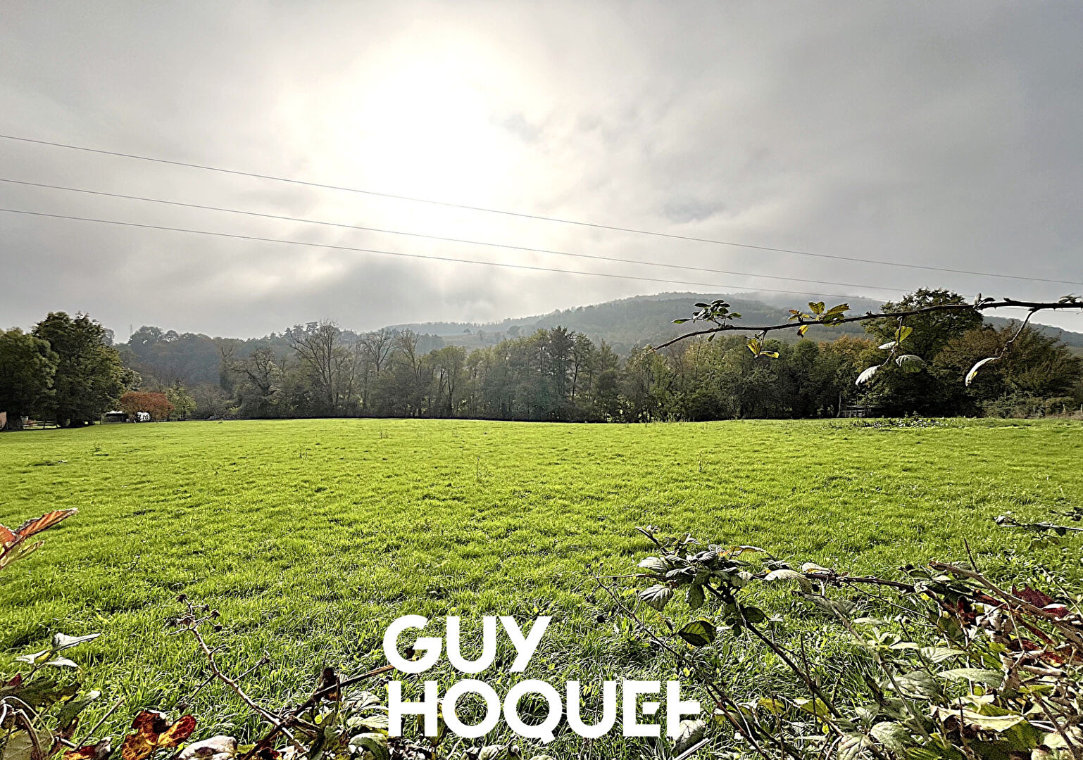 Terrain de 3790 m² environ dont 2099 m² constructible - 69840 JULIENAS