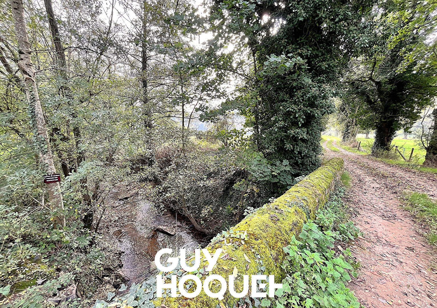 Terrain de 3790 m² environ dont 2099 m² constructible - 69840 JULIENAS