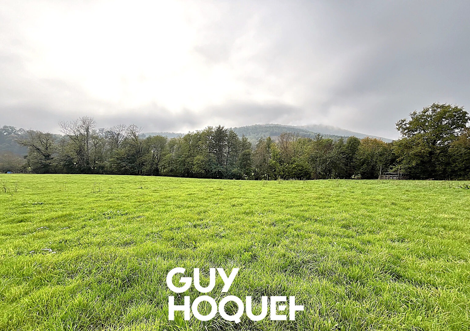 Terrain de 3790 m² environ dont 2099 m² constructible - 69840 JULIENAS