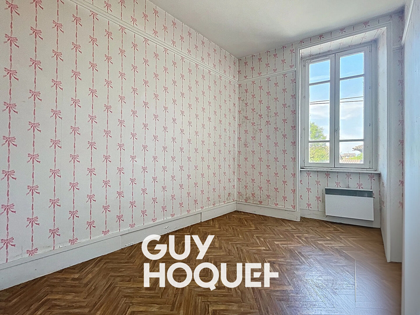 Immeuble Boucherie + Logement - 01290 Centre de Pont-de-Veyle