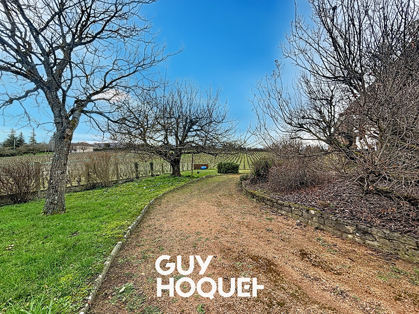 Jolie Villa au Coeur du Vignoble Mâconnais - 71960 PRISSÉ