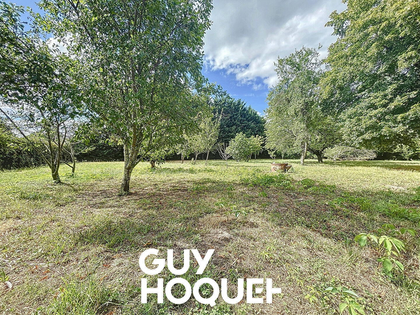 Terrain constructible 1150 m² , Environnement exceptionnel - 71570 ST AMOUR BELLEVUE