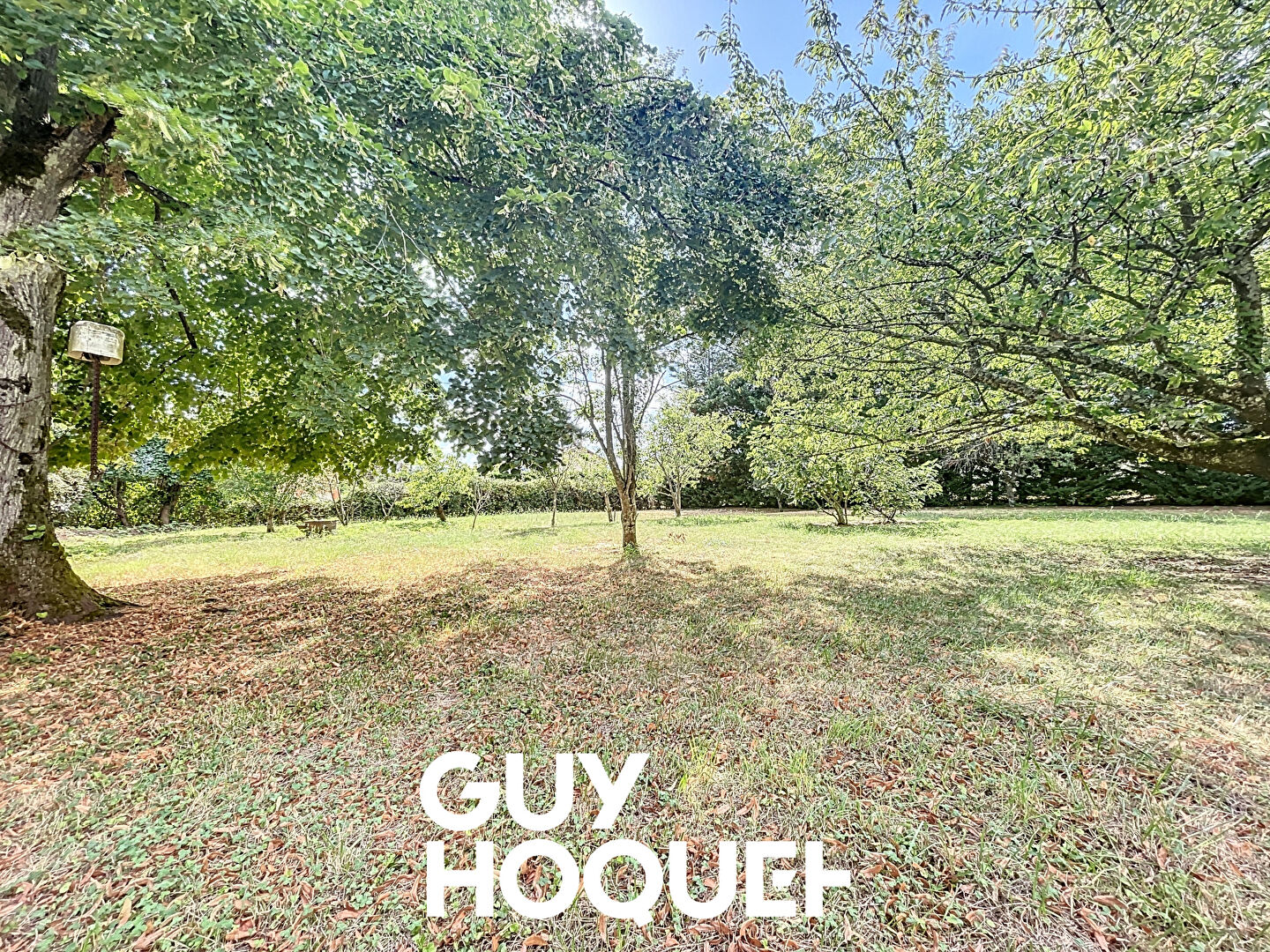 Terrain constructible 1150 m² , Environnement exceptionnel - 71570 ST AMOUR BELLEVUE