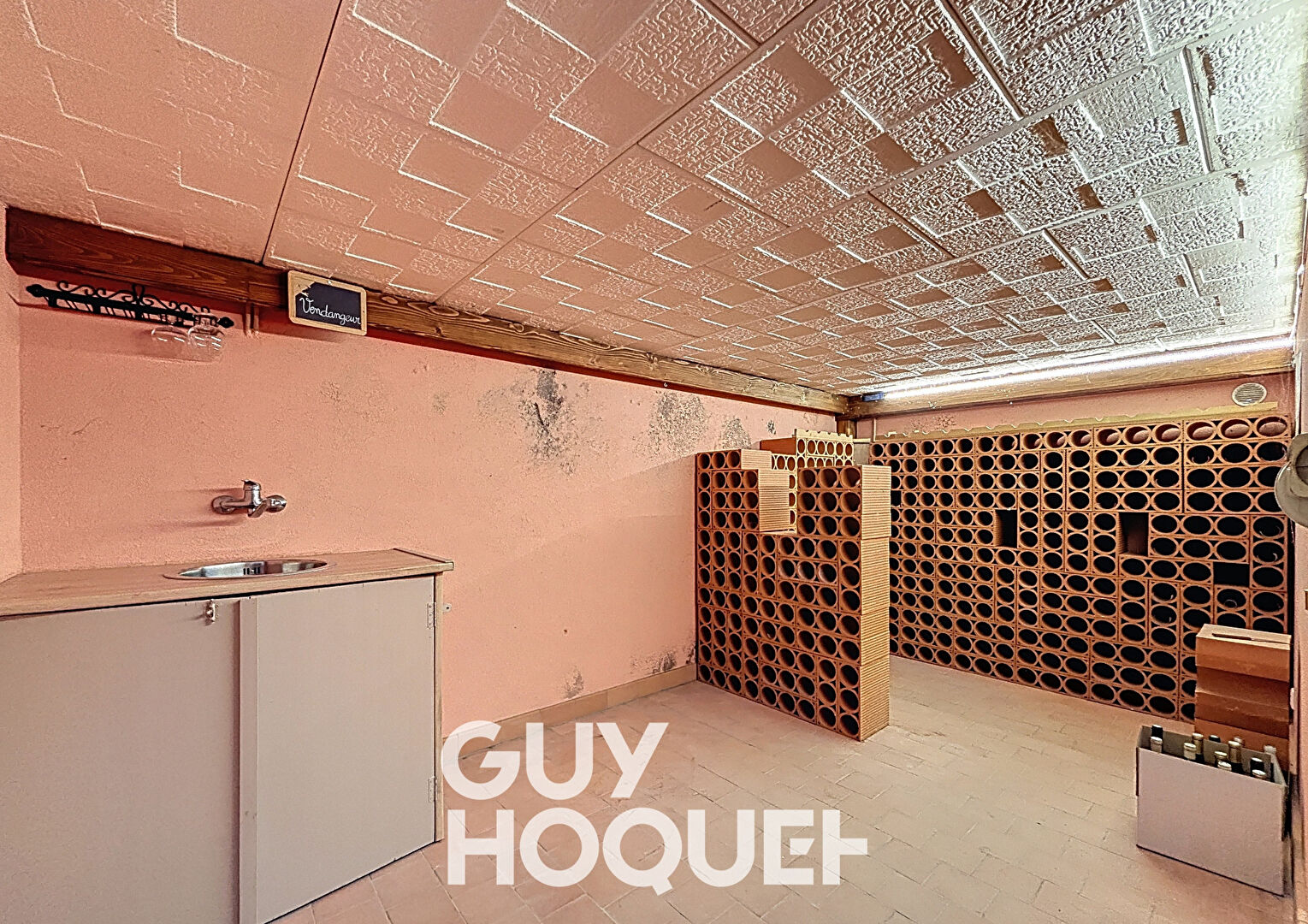 Maison 6CHBS + Dépendances - 71260 SENOZAN