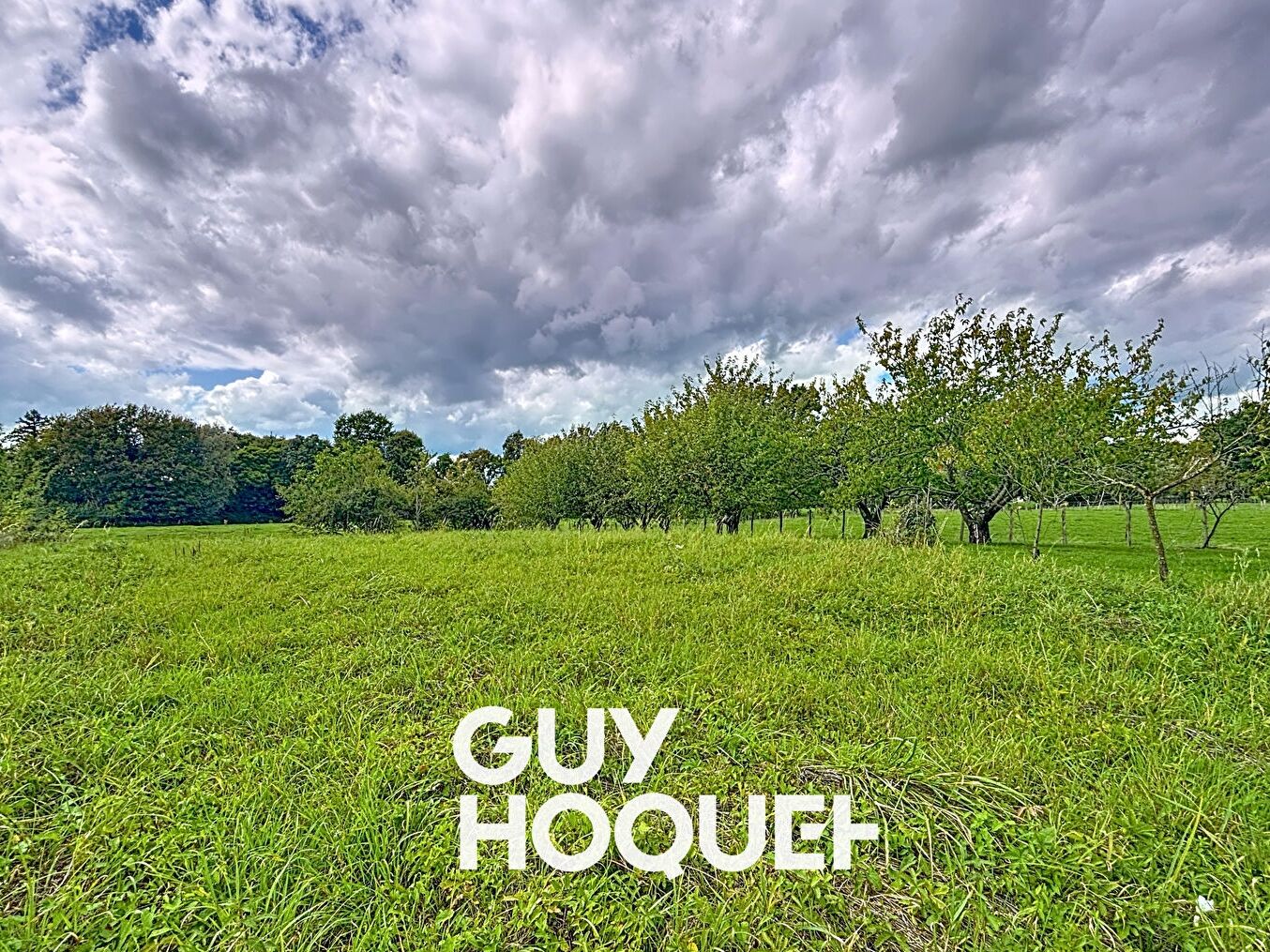 Maison Plain-pied 3 Chs + Garage et Atelier sur plus de 2900 m² de Terrain