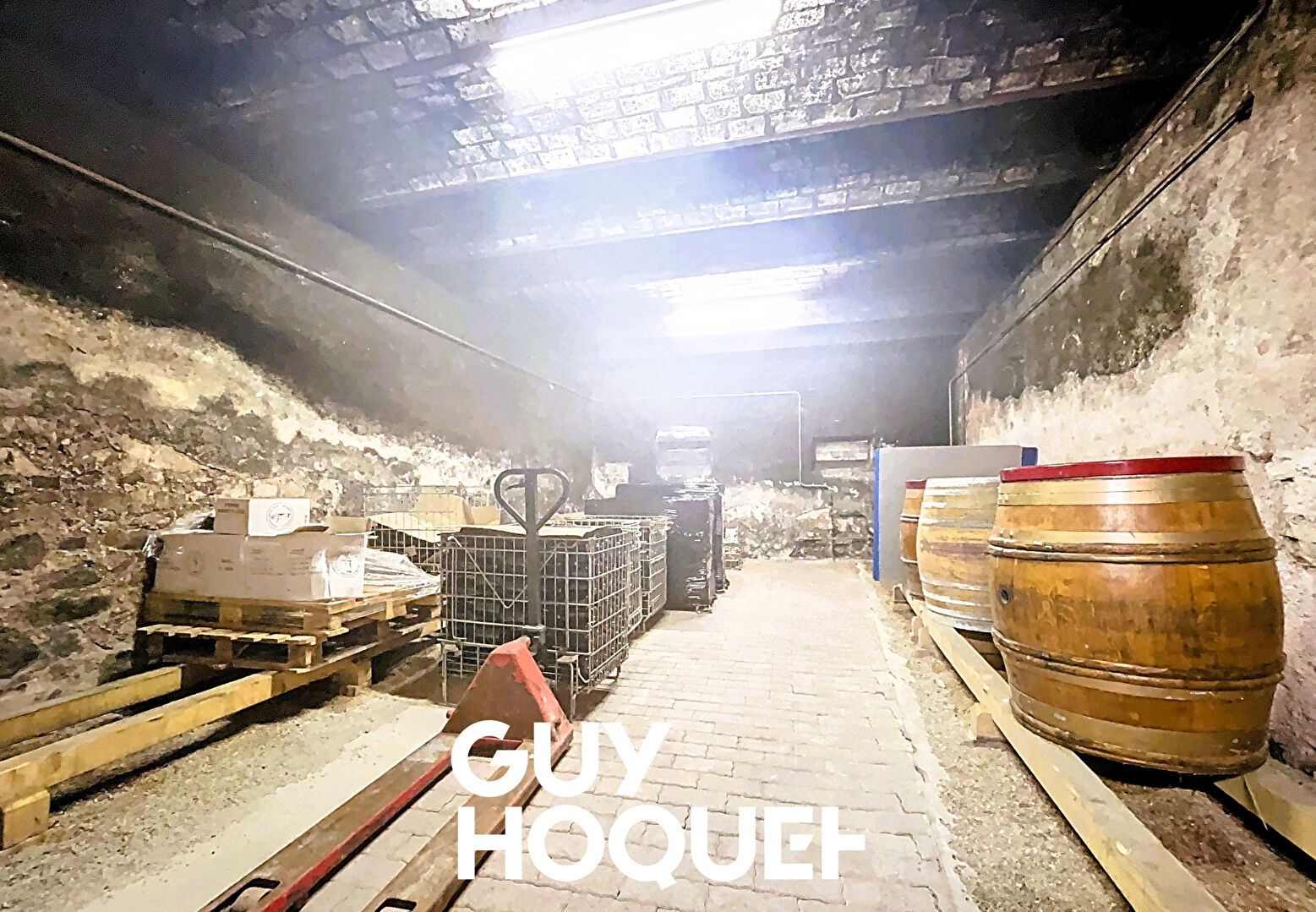 Maison de Vigneron avec deux logements 6 Chs + Dépendances et terrain de 1500 m² environ - 69840 CHENAS