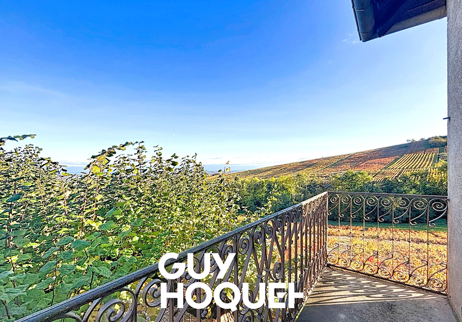 Maison de Vigneron avec deux logements 6 Chs + Dépendances et terrain de 1500 m² environ - 69840 CHENAS