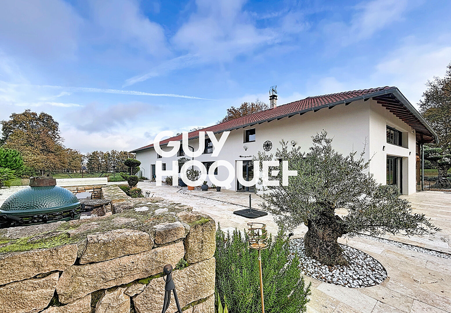 Demeure de prestige 5 Chambres + Dépendances + Parc et Près de 4.6 Hectares - 01380 SAINT ANDRE DE BAGE