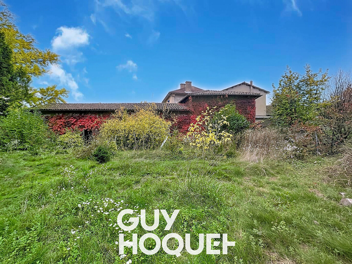 Maison de Caractère 6 Chambres + Greniers et Dépendances sur terrain de 3500 m² environ - 71570 ROMANECHE THORINS