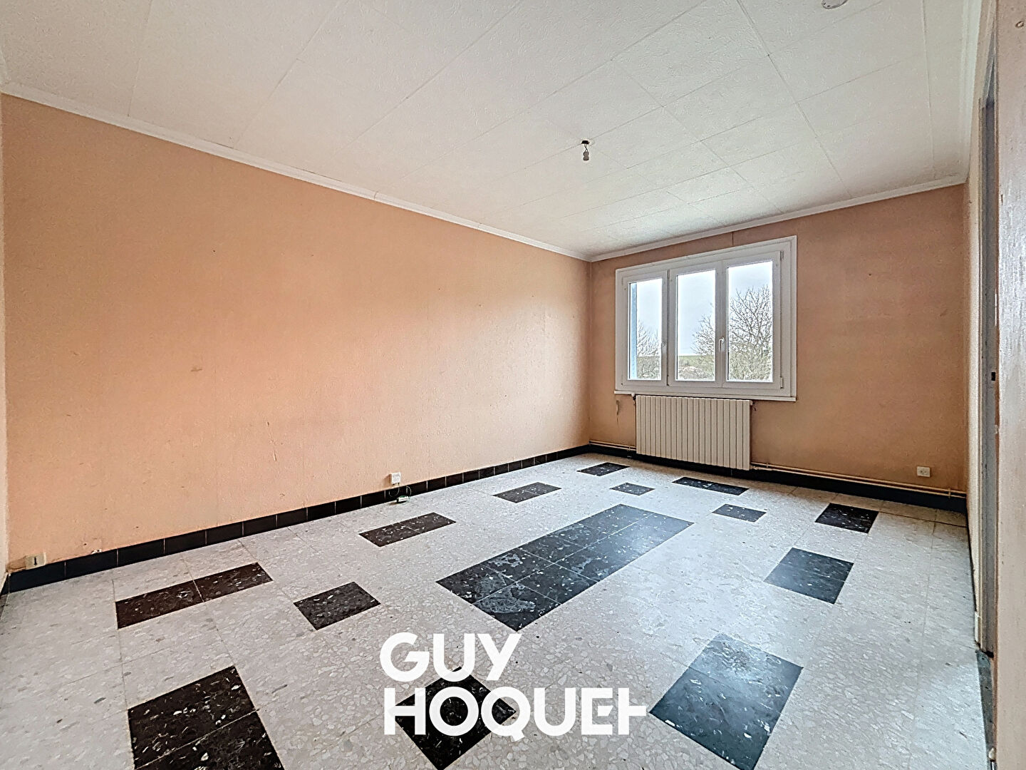 Maison  4 pièces 96.08 m2 / Fort potentiel / Maison de plain-pied / dépendances / 1 500 m² de terrain