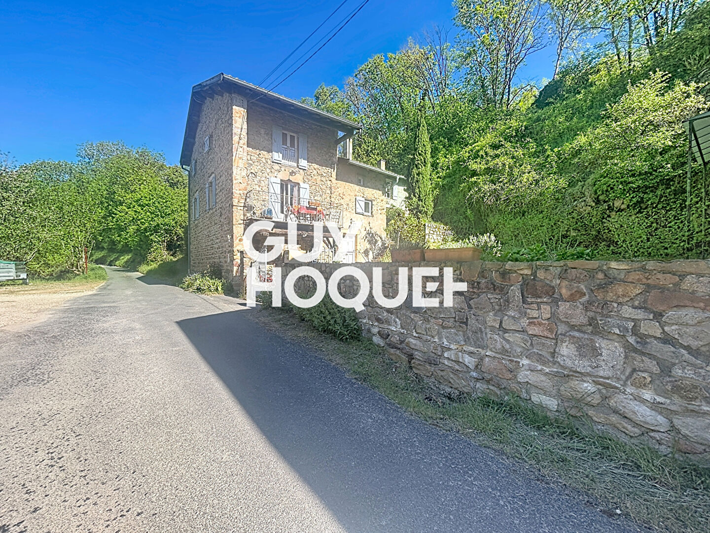 Maison + Gîte avec Vaste terrain - 69840 EMERINGES