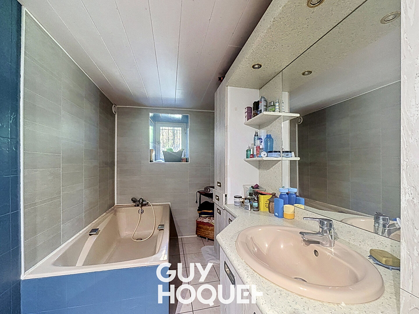 Maison + Gîte avec Vaste terrain - 69840 EMERINGES