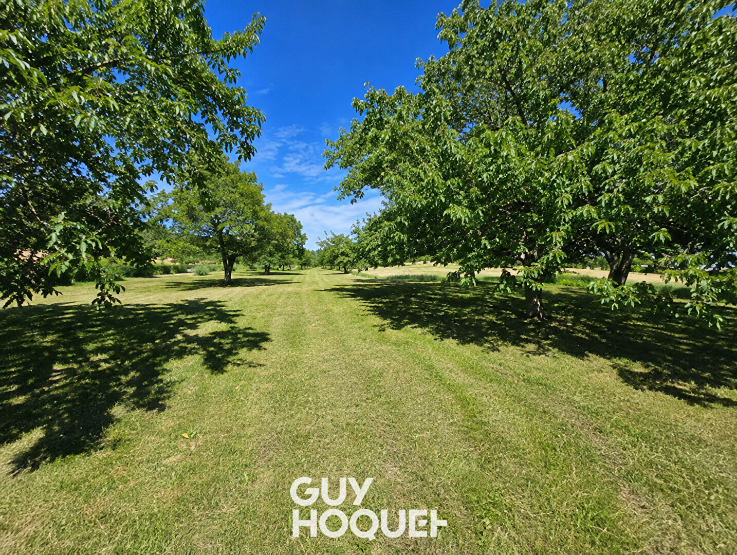 Terrain à vendre de 2242 m² à Clessé - Réf. 572