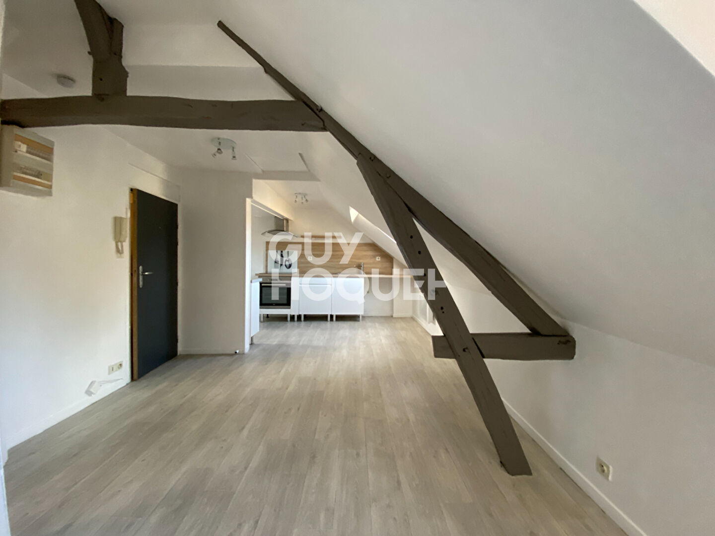 Place Drouaise - appart de 24m²