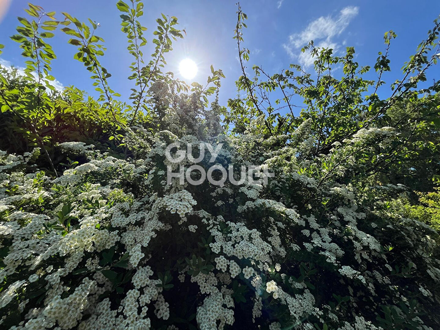 Maison de plain pied Neron