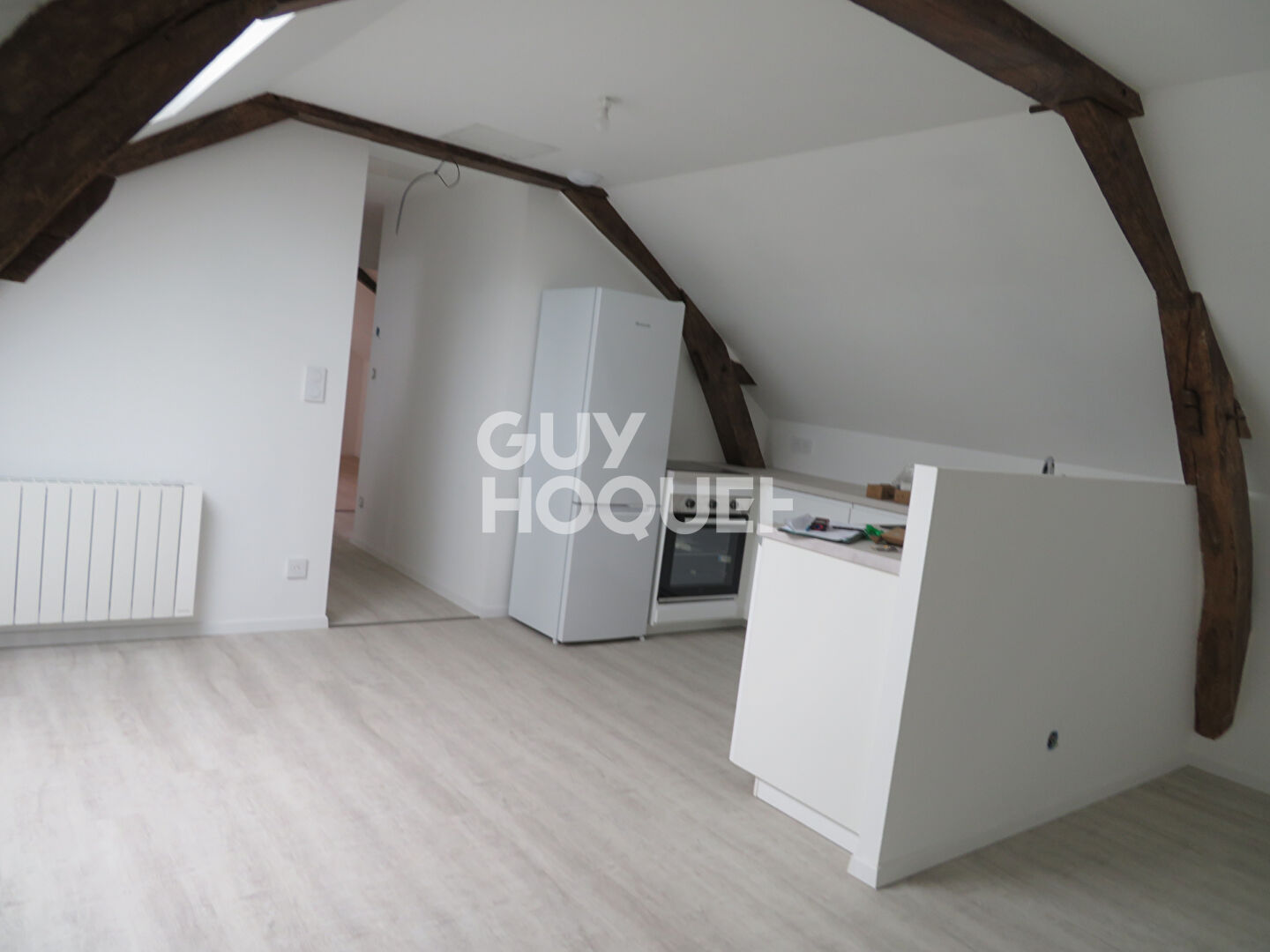 Appartement Chateau Gontier Sur Mayenne 3 pièce(s) 53.01 m2