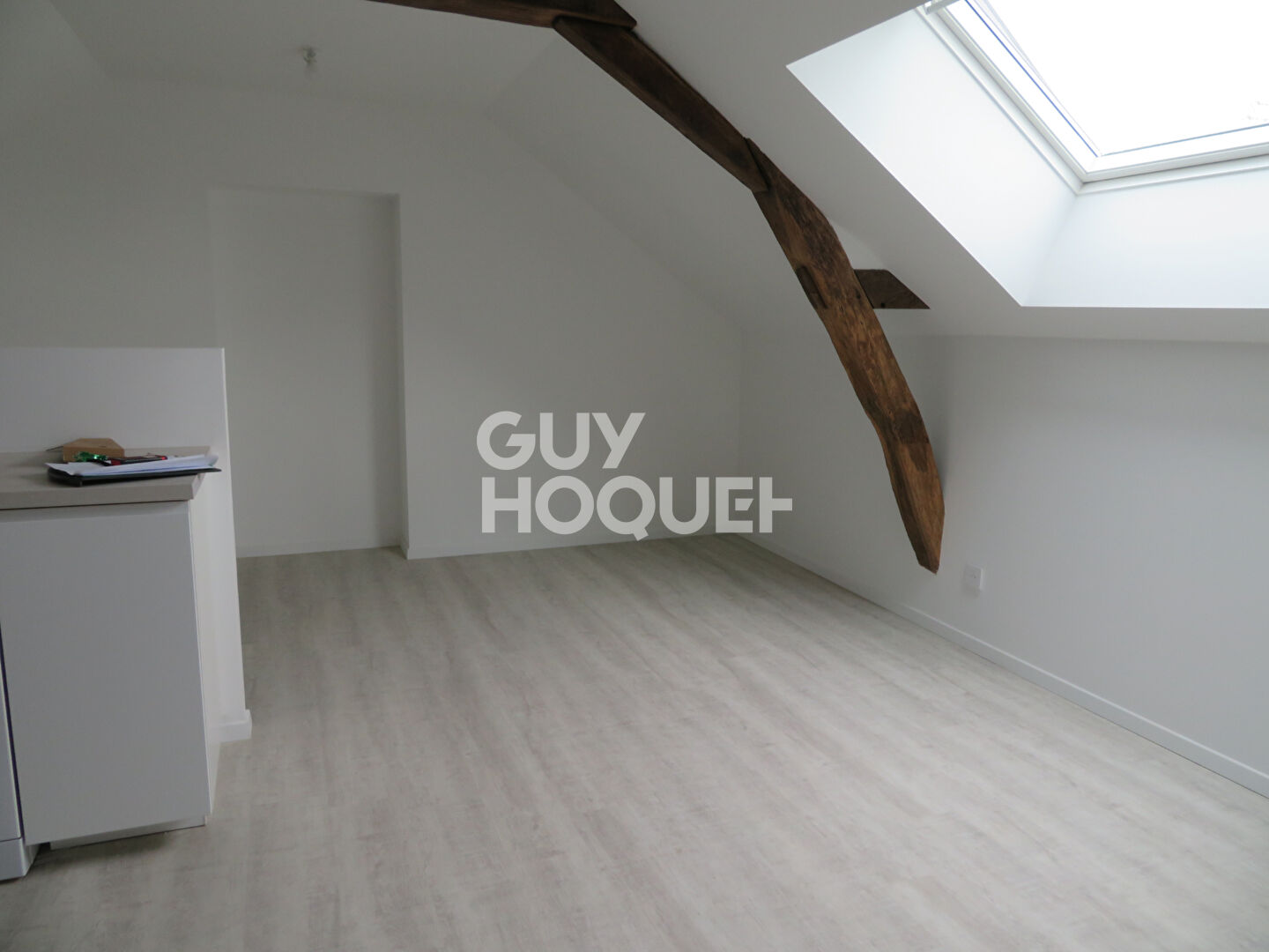 Appartement Chateau Gontier Sur Mayenne 3 pièce(s) 53.01 m2